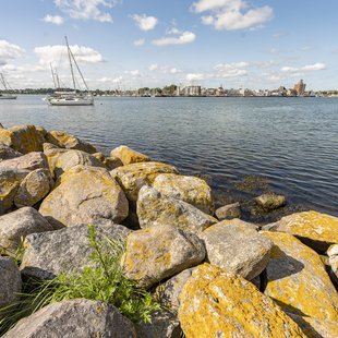 Eckernförde Hafen