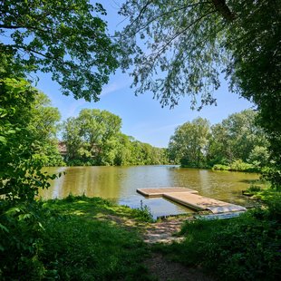 Ansicht des Ufers des Stadtsees in Rendsburg mit beschaulichen Ruheplätzen im Grünen.