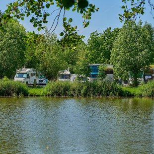 Die Wohnmobile stehen idyllisch im Grün und direkt am Wasser.