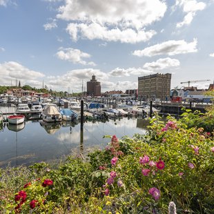 Eckernförde Hafen